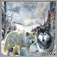 Wolves in winter landscape анимированный гифка