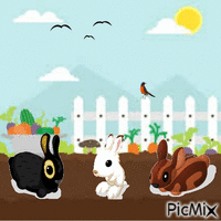 Bunnies in my garden - GIF animé gratuit