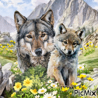 Wolf in spring-contest - Gratis geanimeerde GIF
