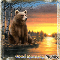 Good Morning. Sunrise, bear - GIF animado gratis