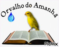 orvalho do amanhã - Bezmaksas animēts GIF