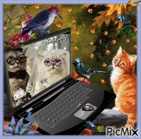 ****  SES AMIS ``CHATS SE MARIENT`` AUJOURD`HUI...!!!! **** Animated GIF