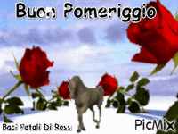 Buon Pomeriggio - Δωρεάν κινούμενο GIF