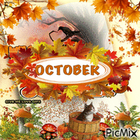 WELCOME OCTOBER animuotas GIF