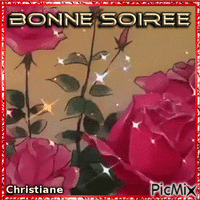 BONNE SOIREE 12 06 - GIF animé gratuit