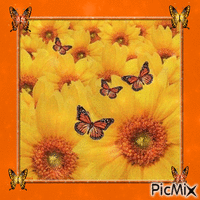 fleurs et papillons анимиран GIF