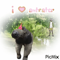 anteater is my Passion animasyonlu GIF