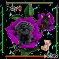 Faye c,est pour toi ♥♥♥ анимированный гифка