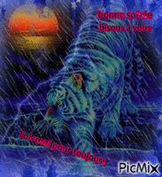 tigre du soir - Δωρεάν κινούμενο GIF