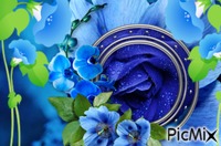 La fleur bleu - Бесплатни анимирани ГИФ
