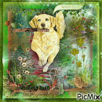 Image-Labrador Retriever - GIF animado gratis
