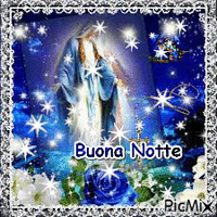 b. notte - Free animated GIF
