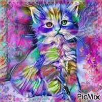 watercolor colorful rainbow cat/contest