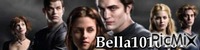 Bella bannière - 免费动画 GIF
