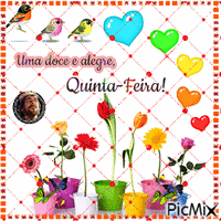 Uma doce e alegre Quinta - Darmowy animowany GIF