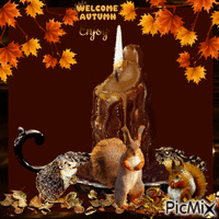 Welcome Autumn. Enjoy geanimeerde GIF