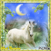 Cavalos e cores pastel GIF animasi