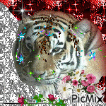 tigre анимиран GIF