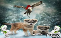 Christmas owl cover animált GIF