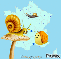 17 novembre France au ralenti Animated GIF