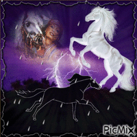 Native American #7 ghost horse