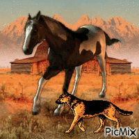 CHEVAL 动画 GIF