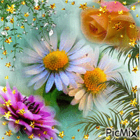 Douceur florale - Gratis animerad GIF