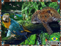 Floresta Amazônica animált GIF