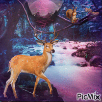Concours "Le cerf" animeret GIF