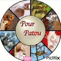 pour Patou animovaný GIF