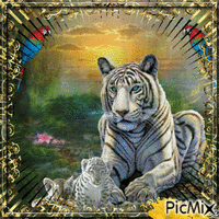 tigers - GIF animado gratis