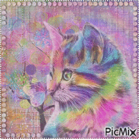 Rainbow Cat & Butterfly - GIF animado grátis
