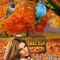 Vogels herfst en een vrouw - Free animated GIF