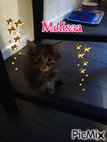 Melissa 9 veckor  28 dec 2019 - GIF animé gratuit