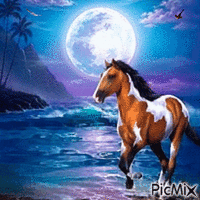 Horse animovaný GIF