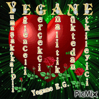 yegane - Gratis animerad GIF