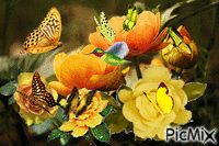 Yellow roses & butterfly - Free animated GIF