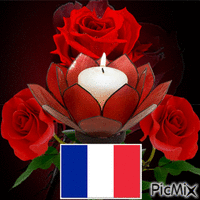 FRANCE Animated GIF