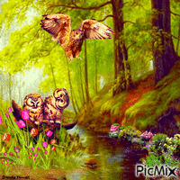 OWL GIF animasi