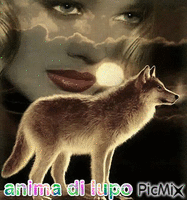 anima di lupo - Besplatni animirani GIF
