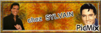 SYLVAIN - 無料のアニメーション GIF