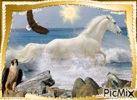 Cavalo Branco - GIF animado grátis