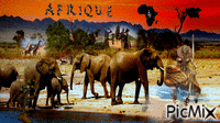 afrique GIF animé