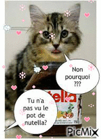 chat et nutella - Бесплатный анимированный гифка