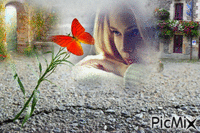 цветок  на асфальте animovaný GIF