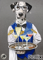 3 cócteles, un martini y una copa de champán... アニメーションGIF