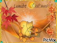 Lumière D'automne - Free animated GIF