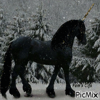 Black Unicorn - Бесплатный анимированный гифка