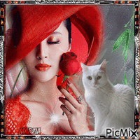 donna, gatto bianco e rosa - Ingyenes animált GIF