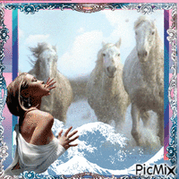 кони мой кони - Free animated GIF